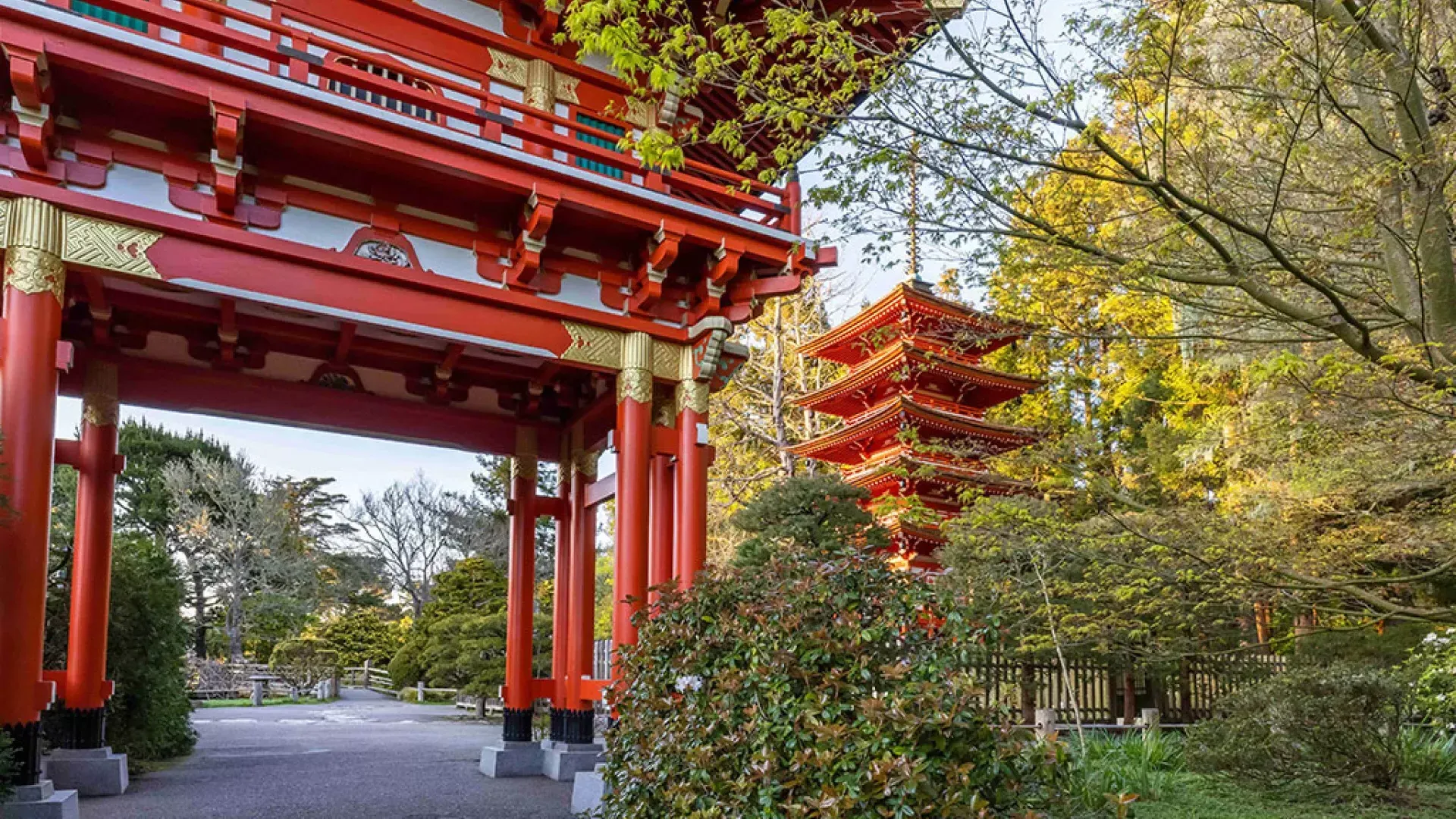 日本Teegarten-Tempel